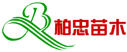 上海柏忠苗木種植專業(yè)合作社