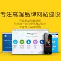 做網(wǎng)站建設(shè)一條龍全包公司新網(wǎng)頁設(shè)計制作與網(wǎng)絡(luò)開發(fā)優(yōu)化企業(yè)推廣