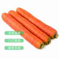 透心胡蘿卜  400/份