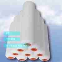 帥寧PN406E/01迷你滾筒經(jīng)濟實用型4寸（約100mm）管徑15MM軸徑6MM滌綸6mm毛高全白滌綸