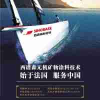 西普森（中基行）無機涂料專用潤濕分散劑 S60/100