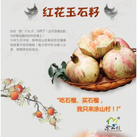 正宗懷遠(yuǎn)石榴百花玉籽石榴產(chǎn)地直銷