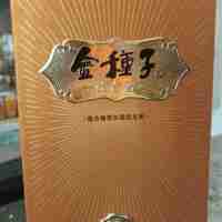 金種子