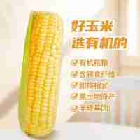 有機甜糯玉米 6根/盒