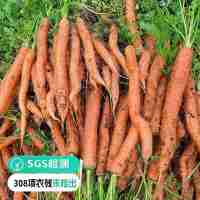 【遠方檢測SGS308項農(nóng)殘未檢出 高原有機吮指水果胡蘿卜】產(chǎn)自云南高原土地 光照充足 土質肥沃 脆嫩爽口 亦蔬亦果2kg家庭裝帶葉帶泥發(fā)貨