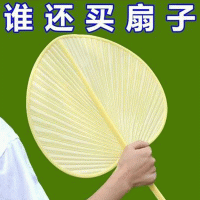 中號(hào)塑料蒲扇