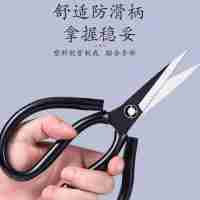 散裝大剪刀