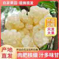 懷遠(yuǎn)特產(chǎn)白花玉石籽石榴 單果300g起 含箱十斤裝
