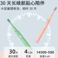 創(chuàng)維Skyworth 電動牙刷清潔牙齒牙刷usb充電便攜電動震動牙刷高檔抽拉禮盒包裝G411/G412((新疆西藏不發(fā)貨)