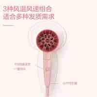 飛利浦(PHILIPS)小花筒電吹風家用大功率 負離子吹風筒恒溫護發(fā) BHP398 帶直發(fā)器卷直兩用 吹風造型套裝【吹風機BHD308+直發(fā)發(fā)器HP8401】