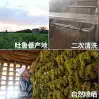 【四袋裝】西域美農(nóng)樹上黃葡萄干新疆特產(chǎn)大粒無籽免洗已兩次沖洗滅菌250g/袋