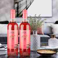醉紅駝炫彩小桃紅甜型甜紅女生酒河谷半甜葡萄酒紅酒750ml*2支