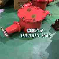 BHG1-315/10煤礦用接線盒開關 兩通接線盒